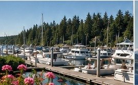 Marina life